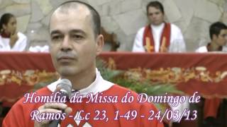 Homilia da Missa de Domingo de Ramos - 24/03/2013