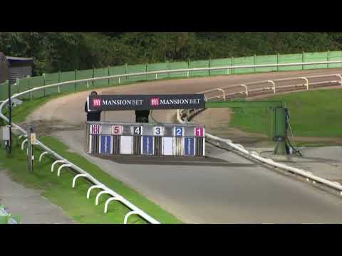 2021 SELECT STAKES - SIGNET ACE