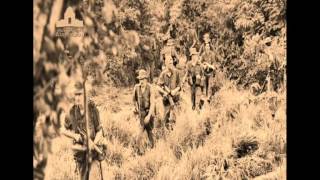 I was only 19 Redgum Re-Mix Version 2013