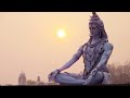 Kara Charana Kritamvaa I Powerful Shiva Mantra I VedhaHarini I Lyrics And Meanings In Description I