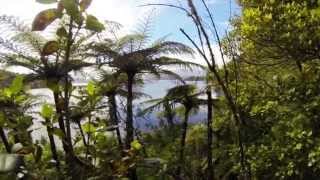 Manon&AlexStory Ep. 15 Rotorua Mt Maunganui Napier