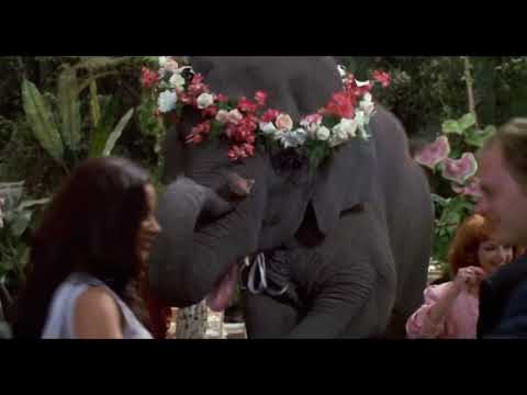 George of the jungle elephant/dog Shep