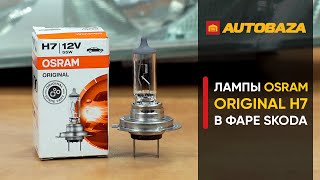 Osram H7 Original line 12V 55W (64210) - відео 1