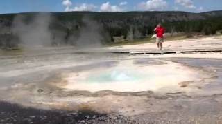 A geyser from yellow stone