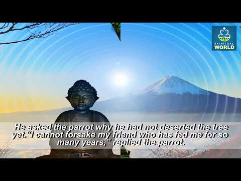 True Friendship (Buddha Story) - Spiritual India