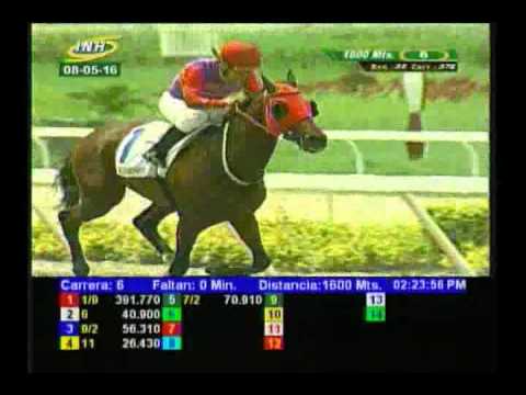 Resumen Domingo, 08 de Mayo de 2016 - La Rinconada