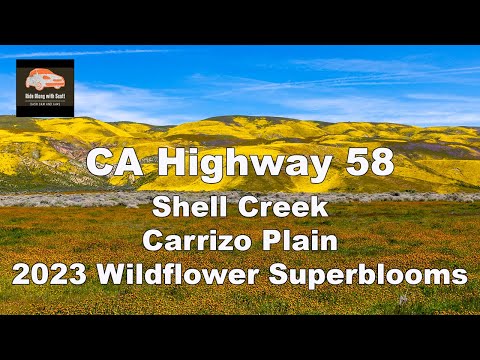 Discover the Hidden Gem of CA Highway 58 - You Won't Believe What's at Carrizo Plain and Shell Creek
