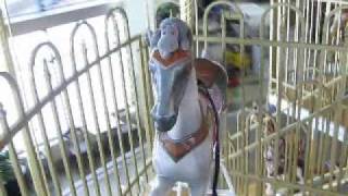 preview picture of video 'Hippo rides the Florence Mall Carousel'