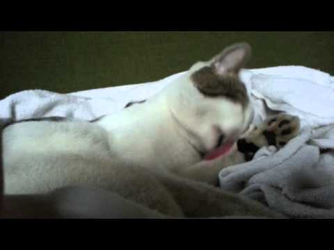 MAWRON giving himself a bath