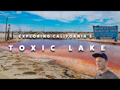 The Salton Sea: California's Abandoned Paradise