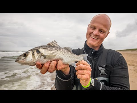 VISblad TV - strandvissen op Maasvlakte 2!