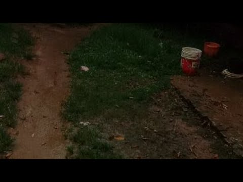 Discover the Magic of Rain in Nature & Environment: Live with Hirak