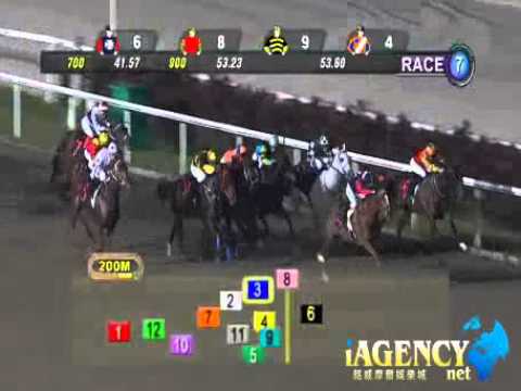 SINGAPORE RACE 29/11/2013 RACE 7 - iAgencyNet.com