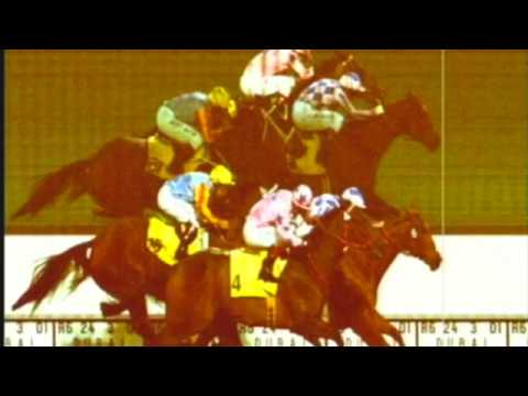 2001 Dubai Duty Free Stakes G2 - Jim And Tonic (雞尾酒) - G.Mosse (香港代表靚蝦王直路如飛殺上看似嬴馬之時被雞尾酒從中檔回氣再上僅敗)