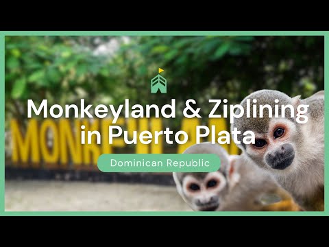 Monkeyland & Ziplining Adventure in Puerto Plata