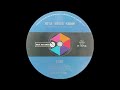 1971: Cher - He'll Never Know - mono 45
