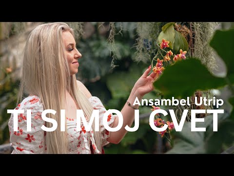 ANSAMBEL UTRIP - TI SI MOJ CVET (Official video)