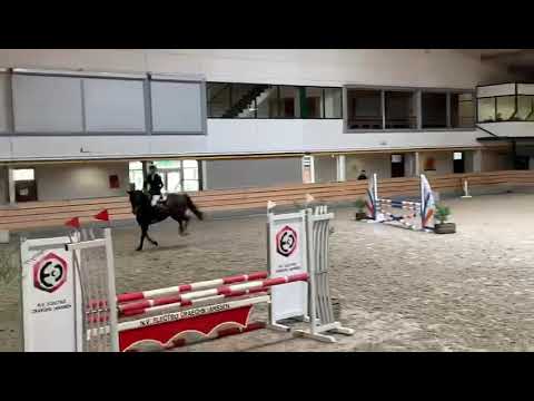 Kalolavita BH 4yo (A’Lee Springpower x Cantos)