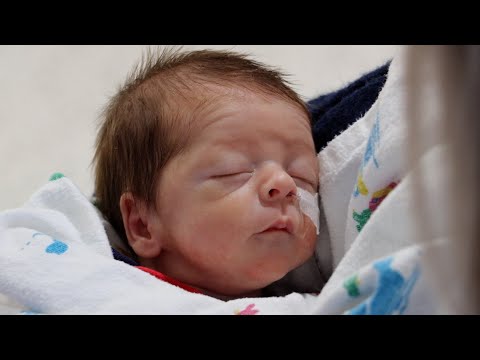 Hospital Volunteers Hold NICU Babies