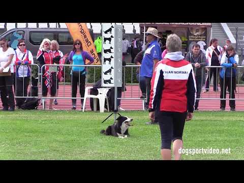 Finals - Mona C. Strømdal + Get Weiler's Jubel / Border Collie - Norway