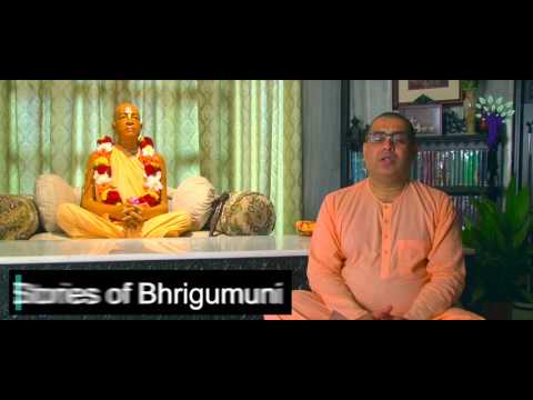 Stories of Bhrigumuni By HG Gokuleshwar Prabhu