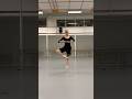 And For The Lady Perhaps A Ballet Skirt PERHAPS NOT