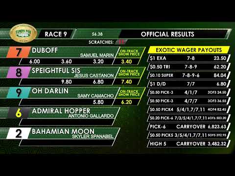 Tampa Bay Downs Live Stream