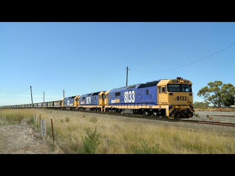 3CK5 Pacific National Grain Train With 8133 8174 BL26 (30/1/2019) - PoathTV Australian Railway Vlogs