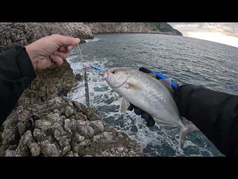 Shore Jigging - 2 Amberjack C&R (Mist fishing assist hooks)
