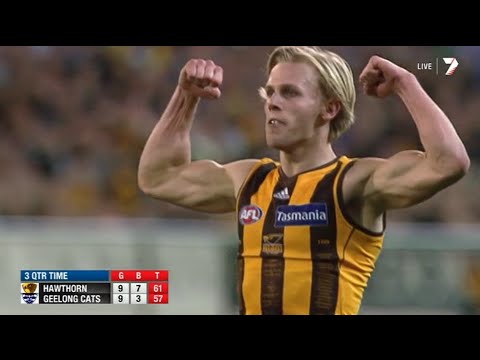AFL 2014: Round 22 - Hawthorn highlights vs. Geelong