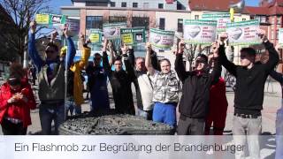 preview picture of video 'Eröffnung hagebaumarkt Mölders Brandenburg'