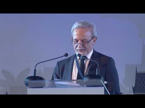 The 2nd World Irrigation Forum - Saeed Nairizi