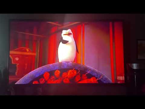 Afro Circus/I Like To Move It in Penguins of Madagascar: The Movie.