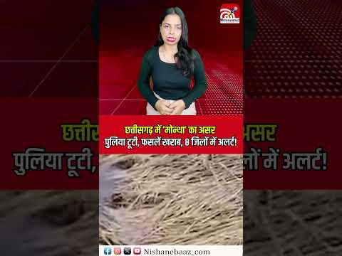 Chhattisgarh mein ‘Montha’ ka asar: Puliya tooti, fasle kharab, 8 jilon mein alert! #CycloneMontha