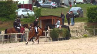 preview picture of video 'SO Amateur 2 Vitesse (1,05 m) - Babuschka Felice V'