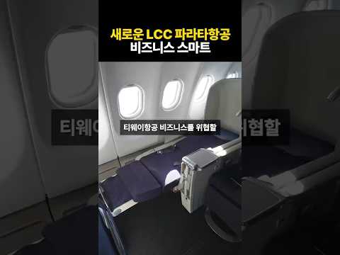 파라타항공 비즈니스스마트: T웨이 항공을 능가하는 프리미엄 경험