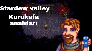 Kurukafa anahtarı ne işe yarar? (stardew valley)