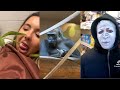 TikTok Memes That Could Beat 1 Gorilla In A Fight