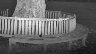 Archy Marshall - Arise Dear Brother