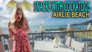 Trying snacks with some VERY wild cockatoos! 🦜 (Airlie Beach, Australia)