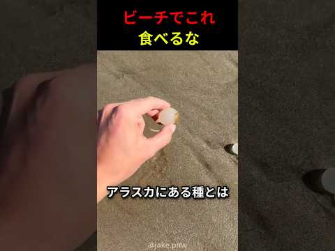 ビーチでこれをむやみに食べないでください
