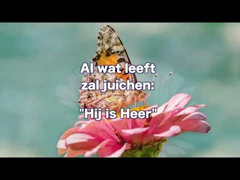 OPwekking 603 Vier nu feest want God is goed