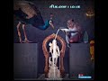 Kandha Sashti Kavasam L Lyrics Status L Lord Murugan L Tamil Whatsapp L Ms Creations Cherai
