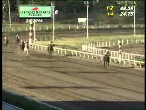 6TA CARRERA SABADO 8 DE FEBRERO DEL 2014 H P R