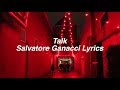 Talk || Salvatore Ganacci Lyrics