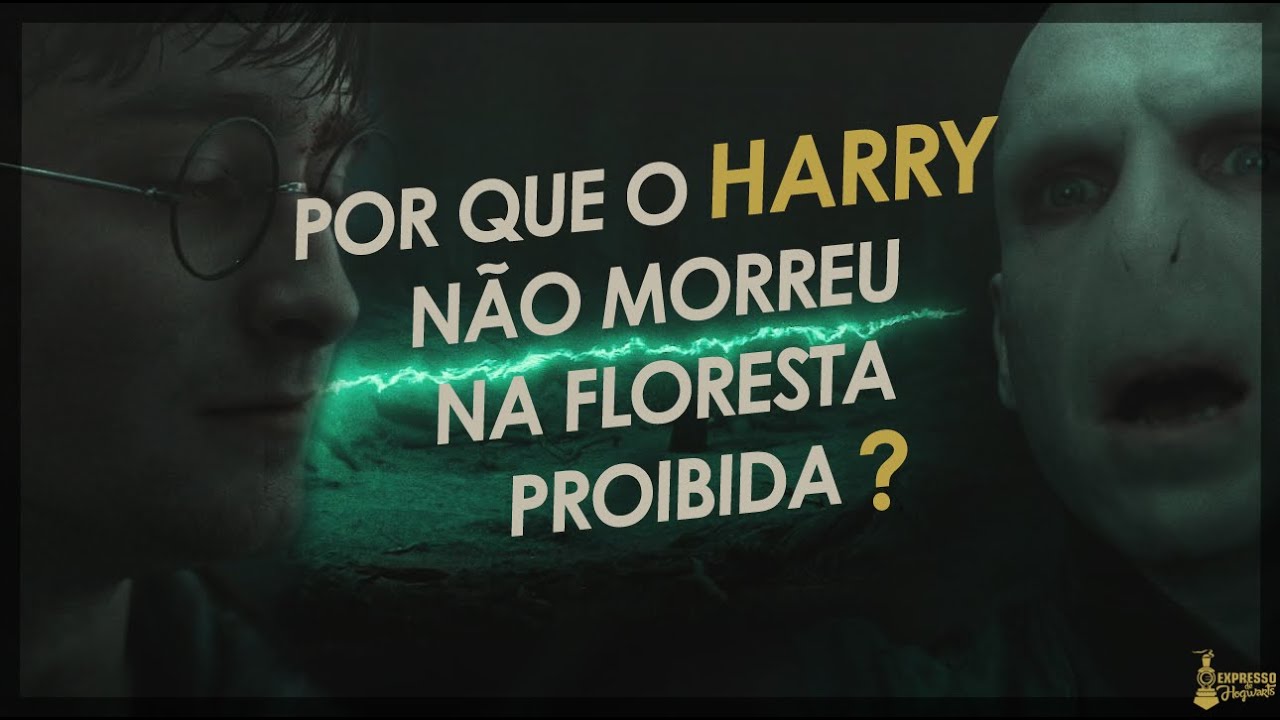 Watch Now ERROS DE INTERPRETAÇÃO dos fãs de Harry Potter ERROS DE INTERPRETAÇÃO dos fãs de Harry Potter