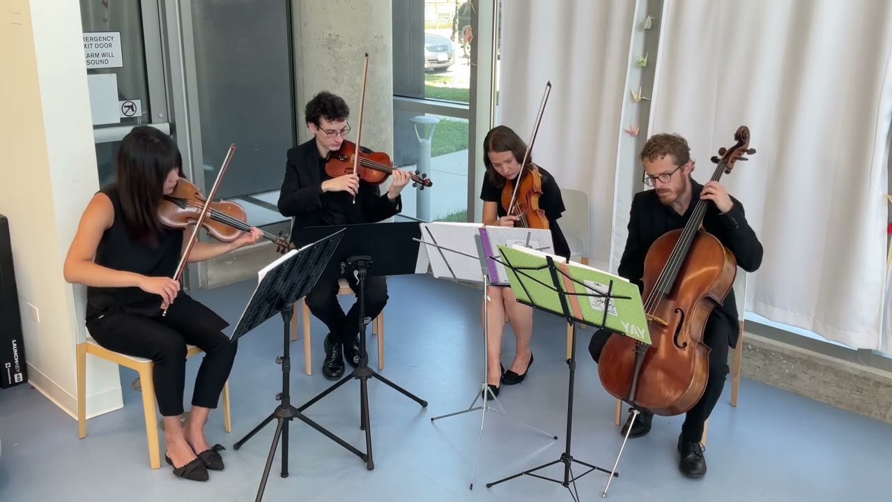 Promotional video thumbnail 18 for Windy City Strings