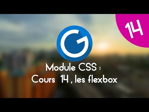 Formation IMM Module CSS Cours tuto 14 les flexbox