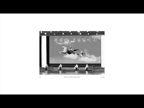 Video thumbnail for Giraffe Trumpet Sea