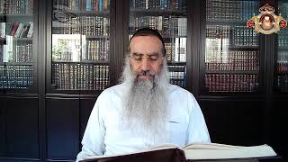 הדף היומי מסכת קידושין  דף  כו כ״ב באלול תשפ״ג  מפי מו"ר הרב דן גבאי שליט"א
